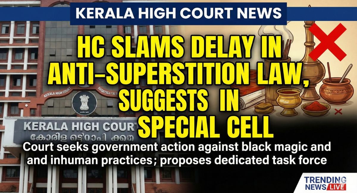 Kerala High Court News